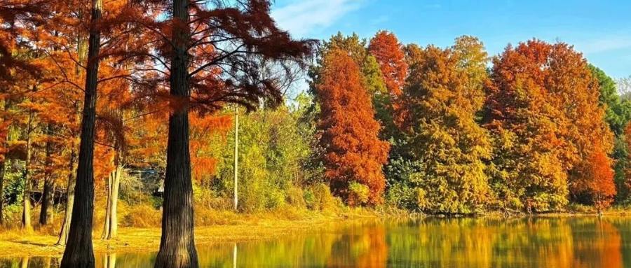 湖北电保姆|2025年秋游通知