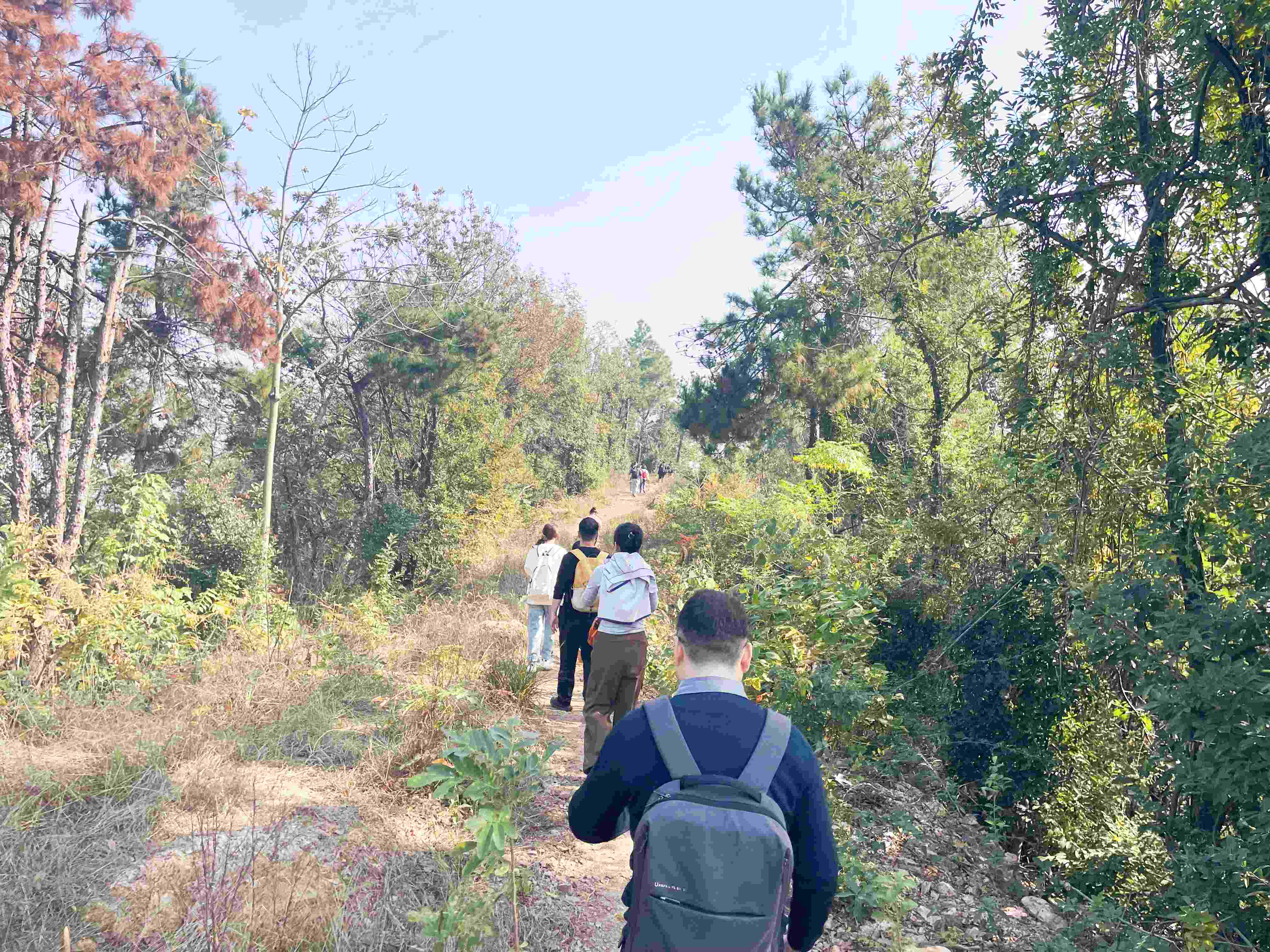 093555717.jpg QQ图片20251117100433.jpg