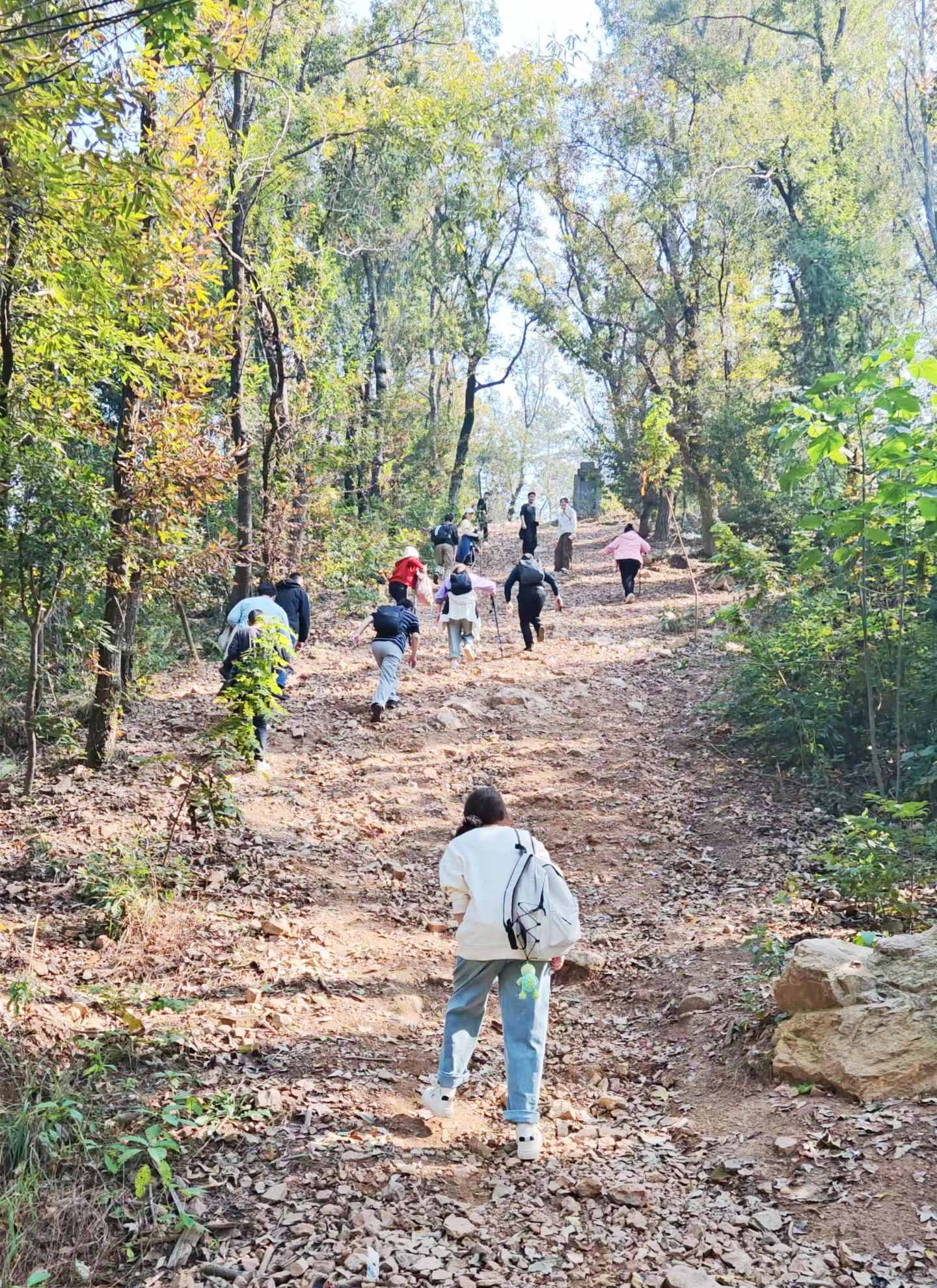 093807368.jpg QQ图片20251117100839.jpg