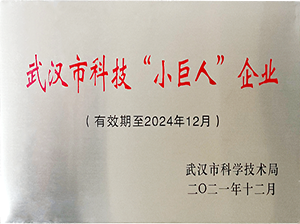 荣誉资质